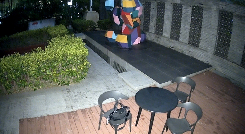 Full-Color Night Vision (Spotlight On)